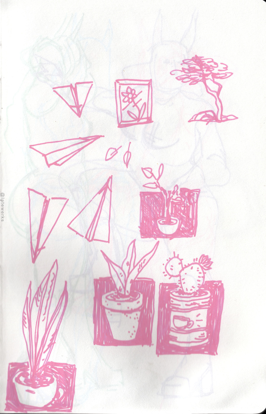 Scibble plants, paper planes